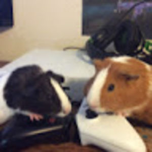 Meet your Posher, Jaydon